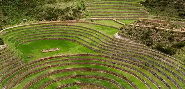 Moray