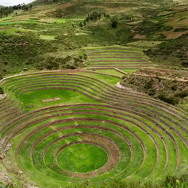 Moray