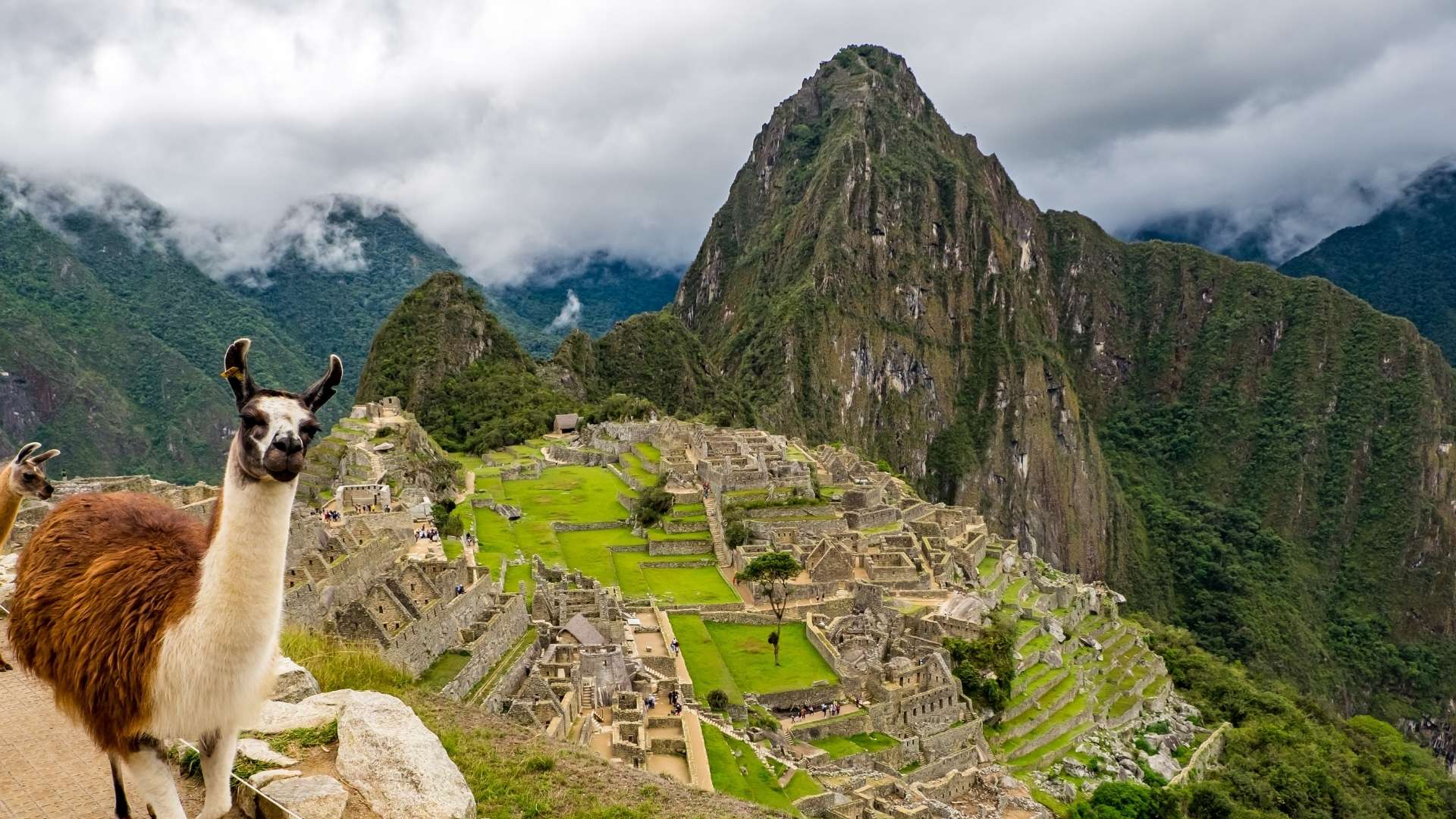 Machu Picchu Tour Full Day